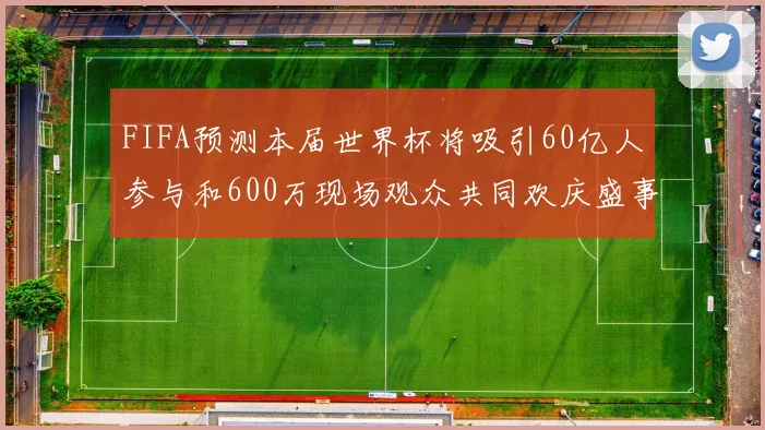 FIFA预测本届世界杯将吸引60亿人参与和600万现场观众共同欢庆盛事